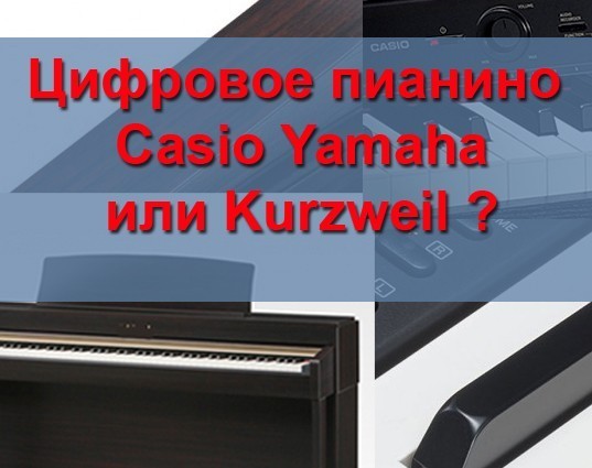 Цифровое пианино Casio Yamaha или Kurzweil