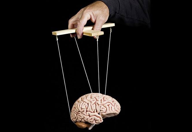 Как эффективно разогнать мозг: советы невролога