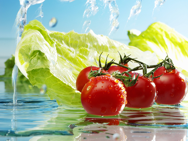 
                        
                            
                                Как правильно мыть овощи и фрукты, чтобы ими не отравиться
                            
                        
                        