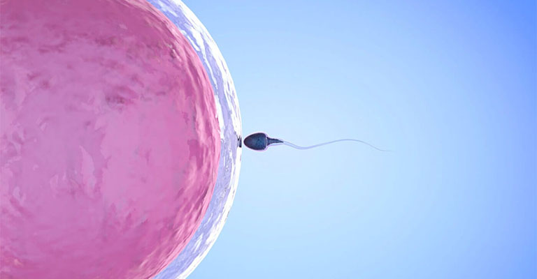 Лучшие способы, как повысить активность сперматозоидов
