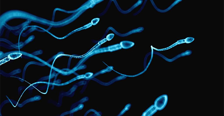 Причины, почему выделяется мало спермы
