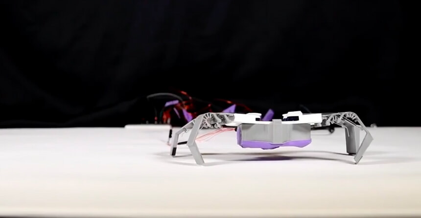 
   			Роботов-насекомых напечатали на 3D-принтере   		