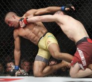 В UFC отметили вклад Хабиба Нурмагомедова в развитие смешанных единоборств